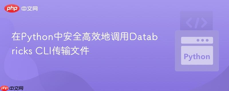 在Python中安全高效地调用Databricks CLI传输文件