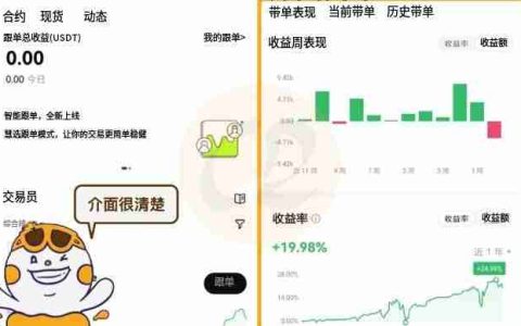 OKX交易所跟单教学：跟大神一起赚钱是什么概念？有什么风险？
