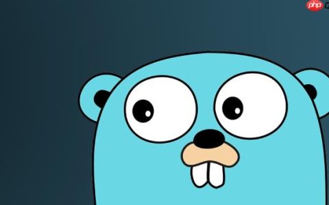 如何在Golang中使用reflect获取函数返回值