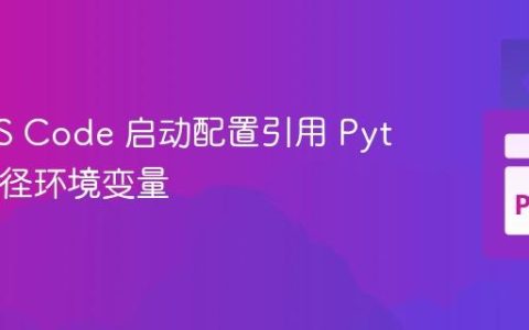 使用 VS Code 启动配置引用 Python 路径环境变量