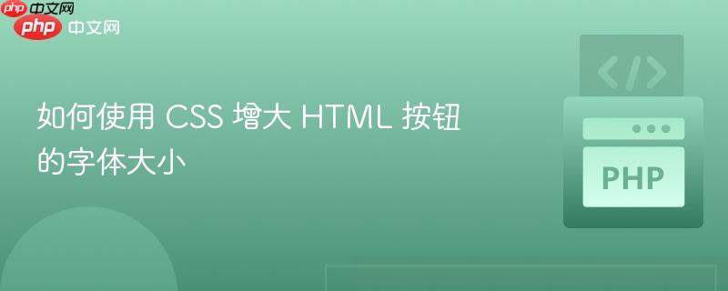 如何使用 css 增大 html 按钮的字体大小