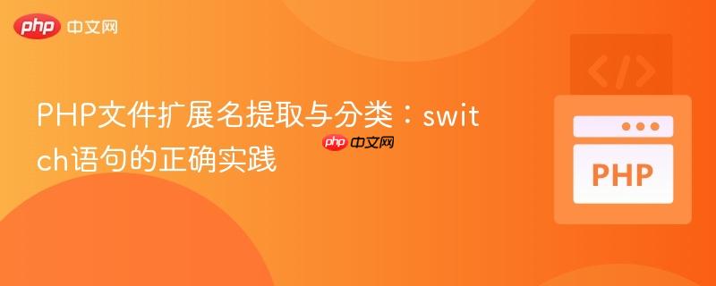 PHP文件扩展名提取与分类:switch语句的正确实践