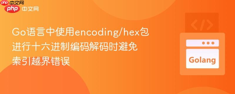 go语言中使用encoding/hex包进行十六进制编码解码时避免索引越界错误