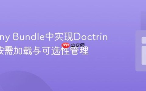 Symfony Bundle中实现Doctrine实体按需加载与可选性管理