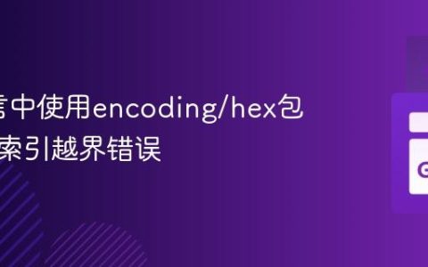 Go语言中使用encoding/hex包时避免索引越界错误