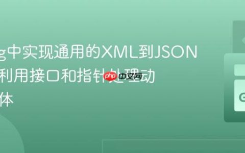Golang中实现通用的XML到JSON转换：利用接口和指针处理动态结构体
