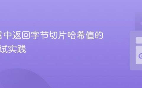 Go语言中返回字节切片哈希值的函数测试实践