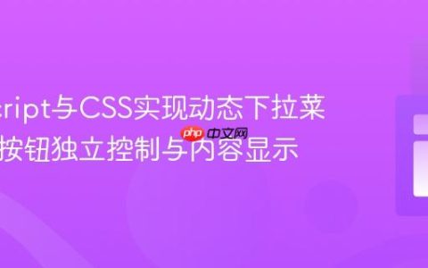 JavaScript与CSS实现动态下拉菜单：多按钮独立控制与内容显示