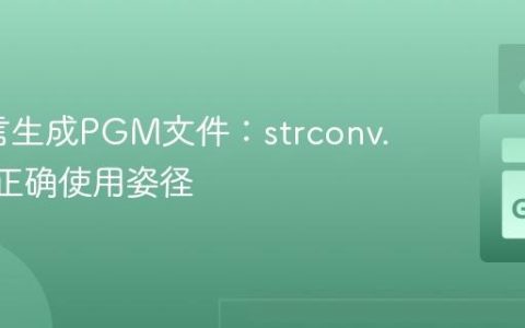 Go语言生成PGM文件：strconv.Itoa的正确使用姿径