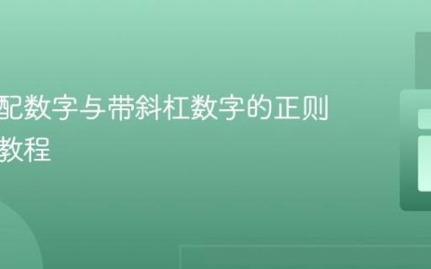 精确匹配数字与带斜杠数字的正则表达式教程