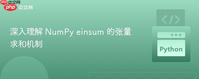 深入理解 NumPy einsum 的张量求和机制