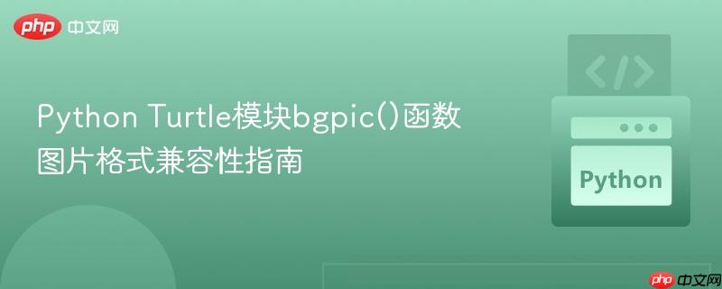 Python Turtle模块bgpic()函数图片格式兼容性指南