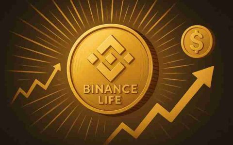 什么是币安人生(BINANCELIFE)？它是如何运作的？值得购买吗？一文探索