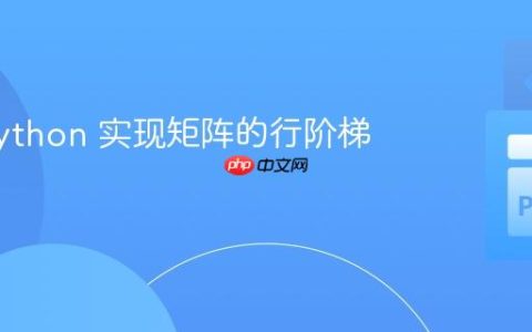 使用 Python 实现矩阵的行阶梯形变换
