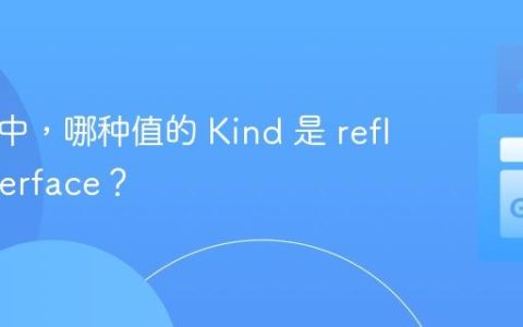 在 Go 中，哪种值的 Kind 是 reflect.Interface？