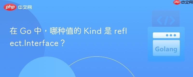 在 go 中,哪种值的 kind 是 reflect.interface?