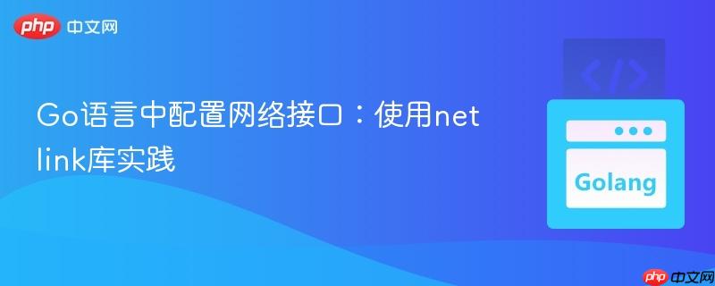 Go语言中配置网络接口:使用netlink库实践