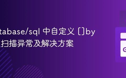 Go database/sql 中自定义 []byte 类型扫描异常及解决方案