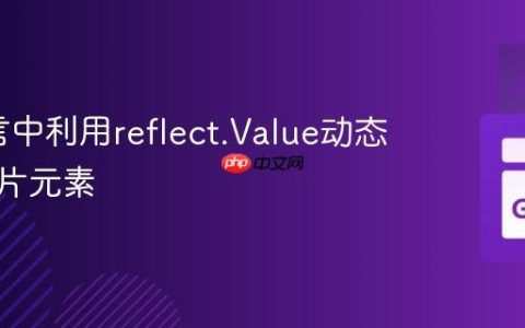 Go语言中利用reflect.Value动态设置切片元素