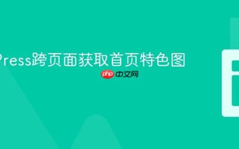WordPress跨页面获取首页特色图片教程
