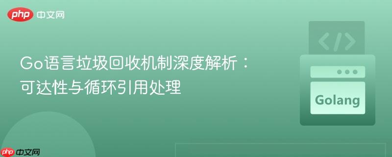 Go语言垃圾回收机制深度解析:可达性与循环引用处理