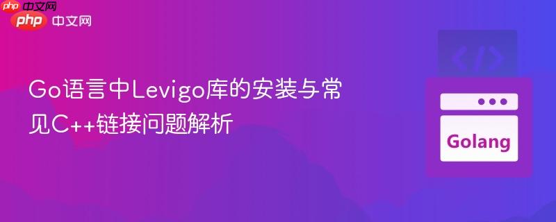 Go语言中Levigo库的安装与常见C++链接问题解析