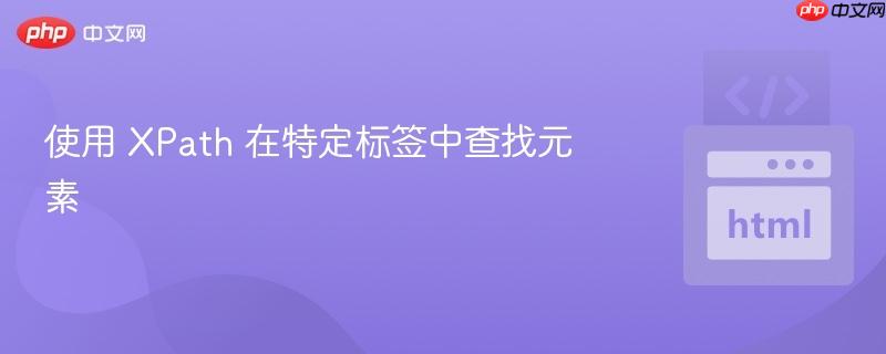 使用 xpath 在特定标签中查找元素