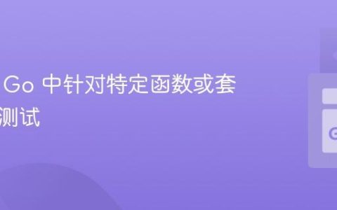 如何在 Go 中针对特定函数或套件进行测试