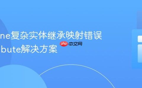 Doctrine复杂实体继承映射错误及Attribute解决方案