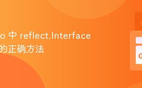获取 Go 中 reflect.Interface 类型值的正确方法