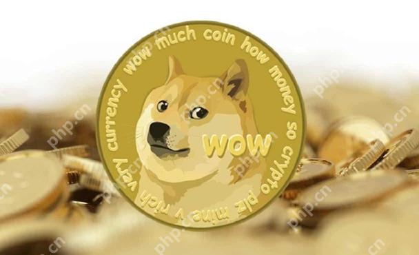 购买狗狗币需要匿名吗？如何匿名购买狗狗币？ - 创想鸟