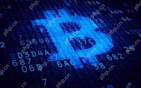 比特币交易平台新手必读