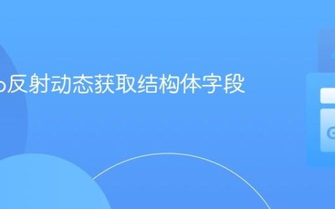 使用Go反射动态获取结构体字段名称