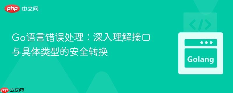 Go语言错误处理：深入理解接口与具体类型的安全转换