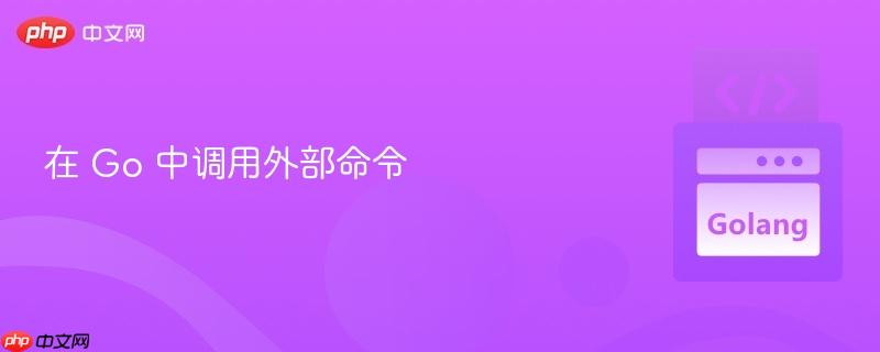 在 go 中调用外部命令