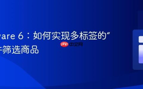 Shopware 6：如何实现多标签的“且”条件筛选商品