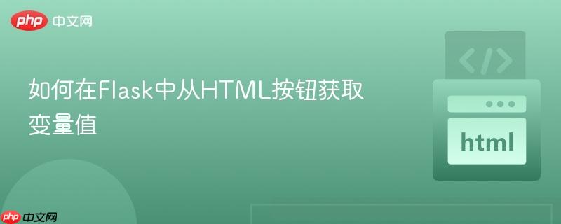 如何在Flask中从HTML按钮获取变量值