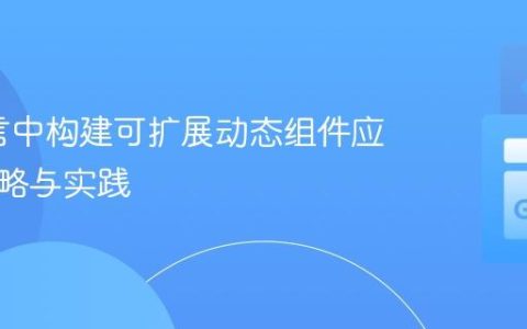 Go语言中构建可扩展动态组件应用的策略与实践