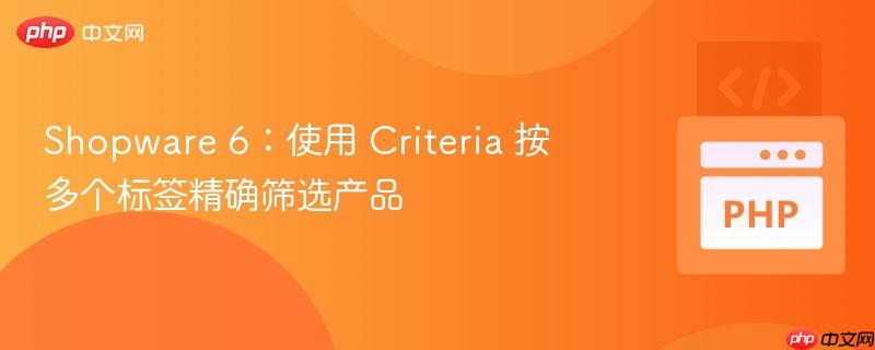 shopware 6:使用 criteria 按多个标签精确筛选产品