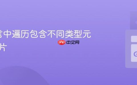 Go语言中遍历包含不同类型元素的切片