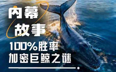 100%胜率巨鲸是如何炼成的?揭秘特 朗普派内幕人士真实身份
