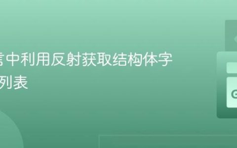 Go语言中利用反射获取结构体字段名称列表