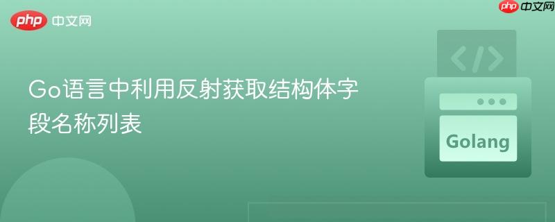 Go语言中利用反射获取结构体字段名称列表
