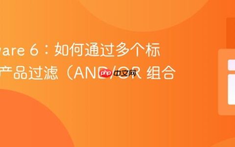 Shopware 6：如何通过多个标签进行产品过滤（AND/OR 组合）
