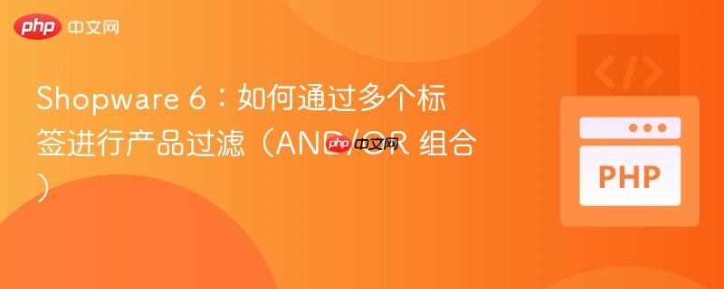 shopware 6:如何通过多个标签进行产品过滤(and/or 组合)