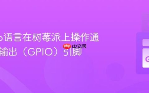 使用Go语言在树莓派上操作通用输入输出（GPIO）引脚