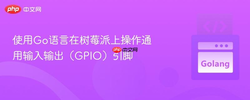 使用Go语言在树莓派上操作通用输入输出(GPIO)引脚