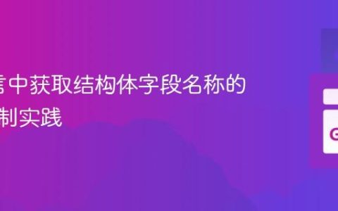 Go语言中获取结构体字段名称的反射机制实践