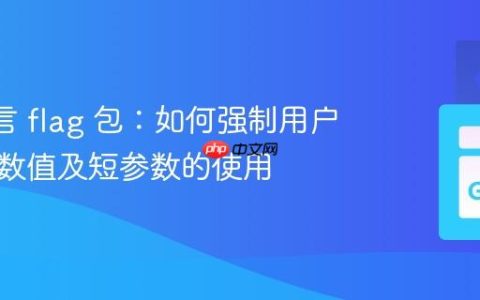 Go 语言 flag 包：如何强制用户指定参数值及短参数的使用
