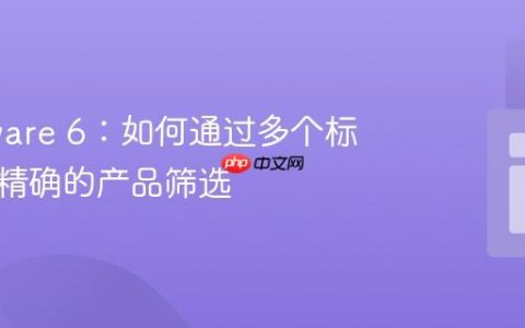 Shopware 6：如何通过多个标签进行精确的产品筛选